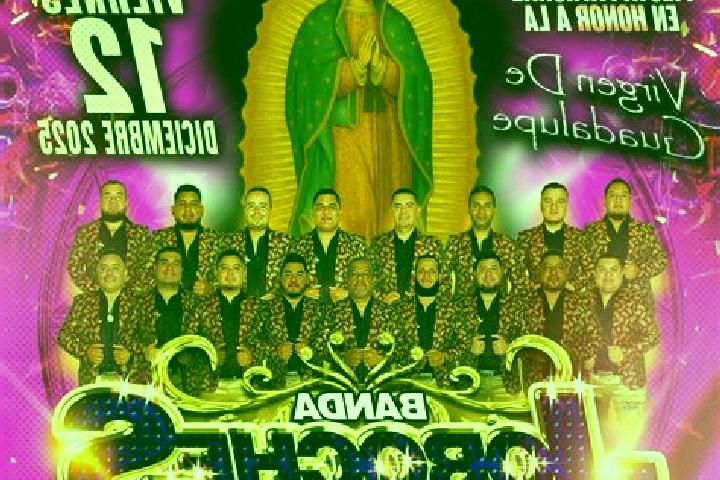 Ivy, 32 — Escort in Magdalena de Araceo, Mexico
