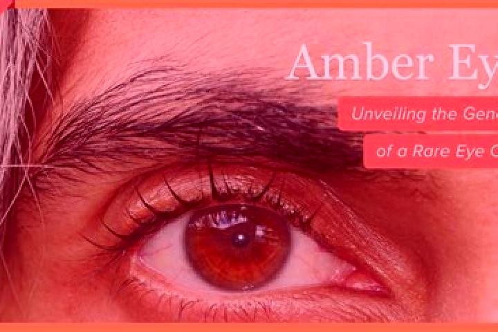 Ivy, 33, a black amber-eyed indian companion based in Khairtal. Offering Party Girl, Overnight, Dinner Date, Girlfriend Experience, 69. Available for incall ...