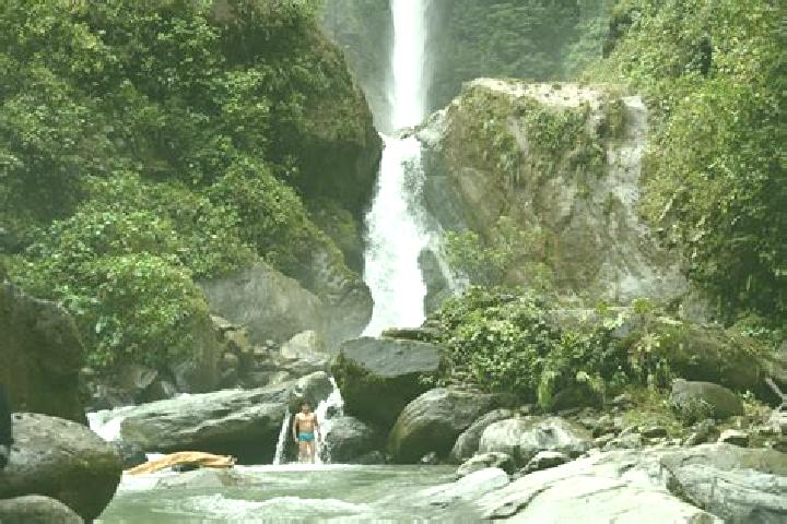 Ivy, 33, a chestnut hazel-eyed european companion based in La Concepcion de los Banos. Offering OWO, CIM. Available for incall and outcall, day and evening d...