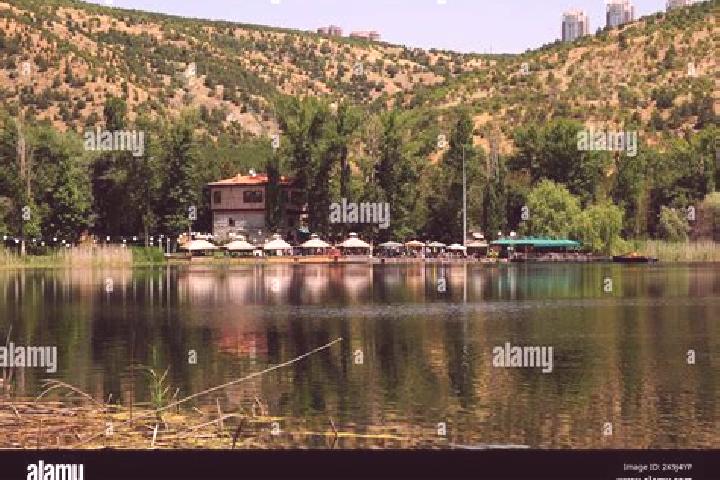Ivy, 33 — Escort in Eymir, Turkey