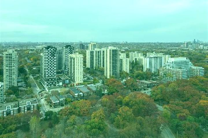 Ivy, 33 — Escort in High Park North, Canada