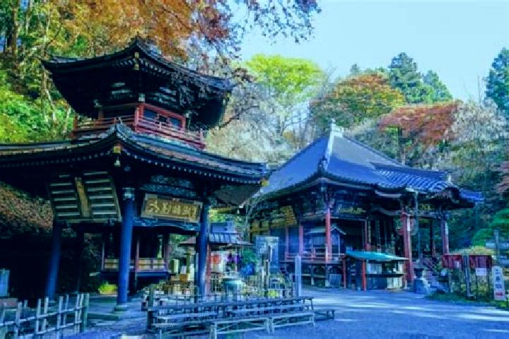 Ivy, 33 — Escort in Shibukawa, Japan