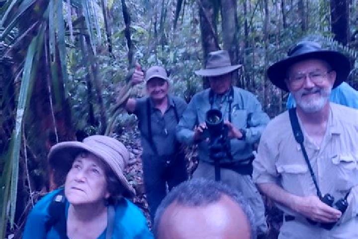 Ivy, 34 — Escort in Kiunga, Papua New Guinea