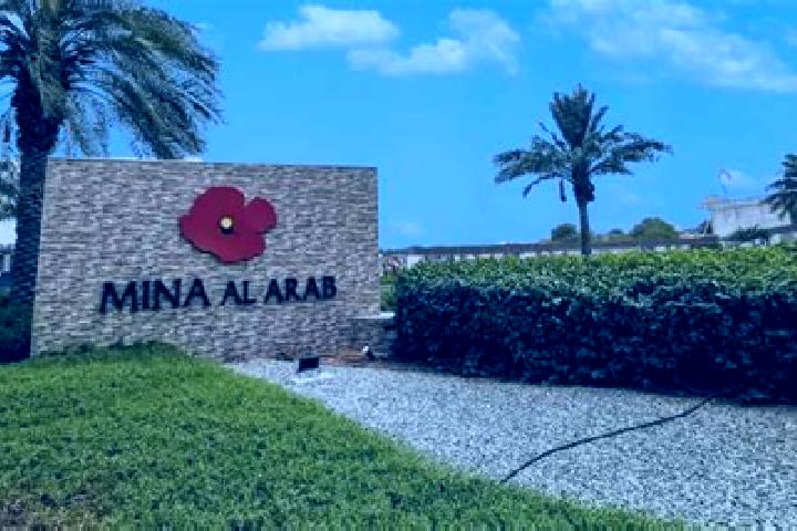 Ivy, 36 — Escort in Al Midyah, Palestine