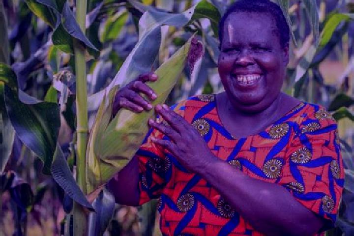 Ivy, 36 — Escort in Maracha, Uganda