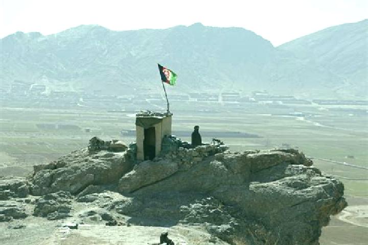 Ivy, 36 — Escort in Pul-e Alam, Afghanistan