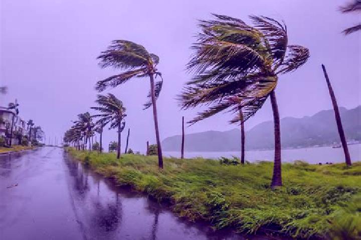 Ivy, 37 — Escort in Landfall, United States