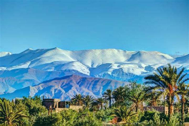 Ivy, 39 — Escort in Ahfir, Morocco