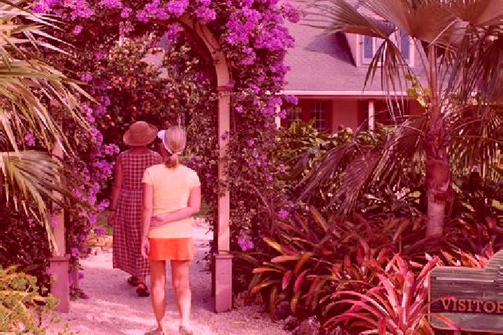 Ivy, 39 — Escort in Omega Gardens, Cayman Islands