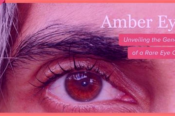 Jade, 20, a red amber-eyed indian companion based in Rieux-Volvestre. Offering CIM, Dinner Date, Fetish. Available for incall and outcall, overnight bookings...
