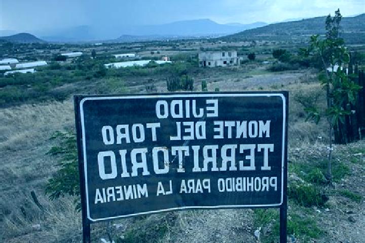 Jade, 20 — Escort in Monte del Toro, Mexico
