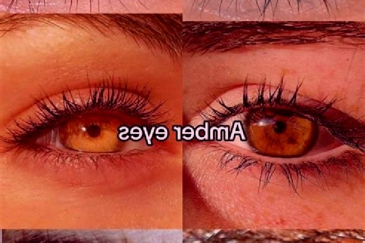 Jade, 21, a chestnut amber-eyed slavic companion based in Golakganj. Offering GFE, Erotic Massage, A-Level. Available for incall and outcall, day and evening...