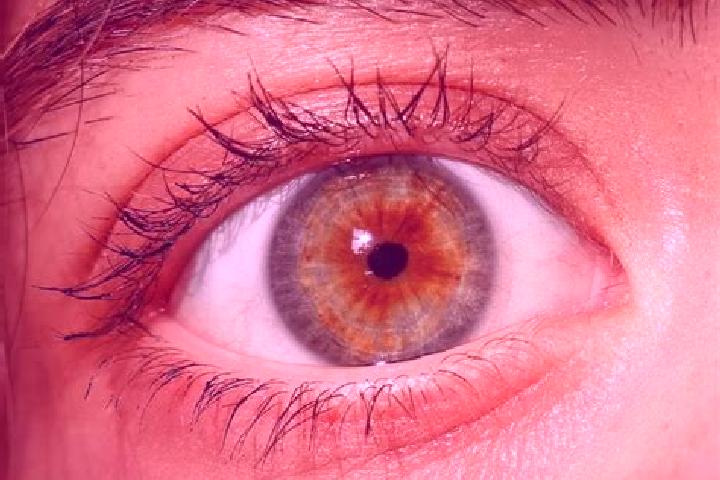 Jade, 22, a red hazel-eyed mediterranean companion based in Abergement-la-Ronce. Offering Domination, A-Level, Travel Companion, Deep French Kissing, Girlfri...