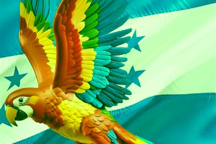 Jade, 22 — Escort in Oropendolas, Honduras