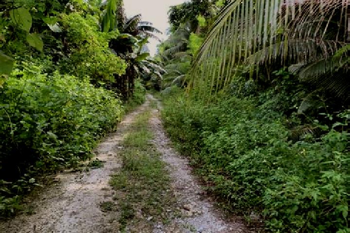 Jade, 23 — Escort in Kloulklubed, Palau