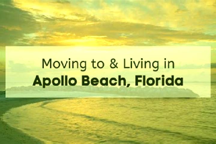 Jade, 24 — Escort in Apollo Beach, United States