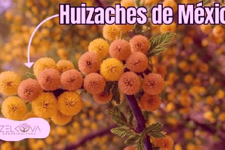 Jade, 24 — Escort in Entronque de Matehuala (El Huizache), Mexico