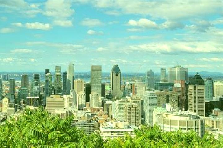 Jade, 25 — Escort in Montreal, Canada