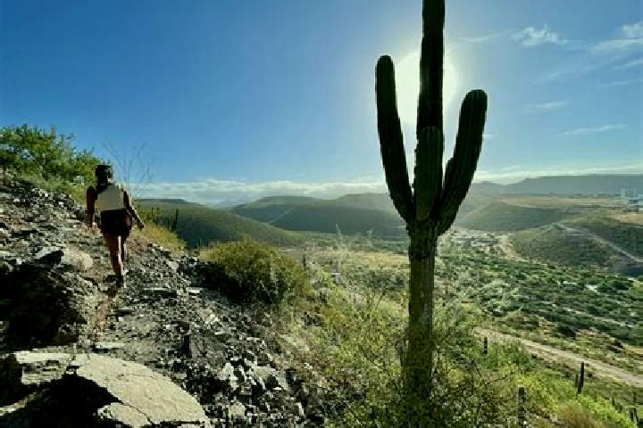 Jade, 26 — Escort in Cerro de la Palma, Mexico