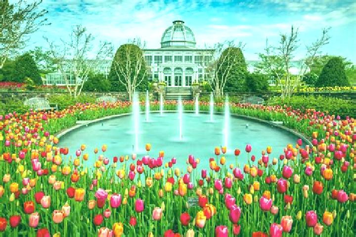 Jade, 26 — Escort in Wilroads Gardens, United States