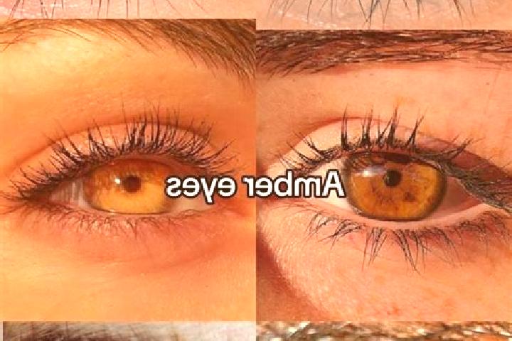 Jade, 27, a chestnut amber-eyed mediterranean companion based in Pont Rouge. Offering OWO, Erotic Massage, Fetish. Available for incall and outcall, overnigh...