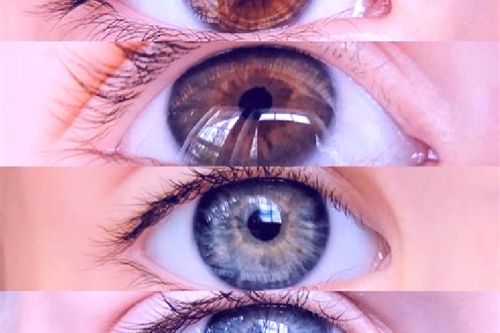 Jade, 27, a chestnut grey-eyed middle eastern companion based in El Mezquite. Offering Party Girl, GFE, Domination, OWO, Duos. Available for incall and outca...