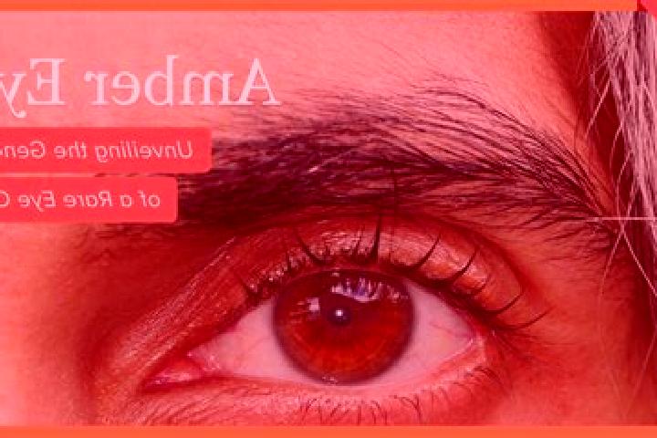 Jade, 27, a red amber-eyed mediterranean companion based in Kulivtsi. Offering Erotic Massage, Travel Companion, A-Level, Party Girl. Available for incall an...