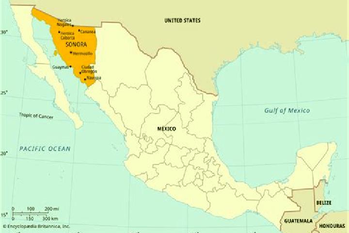 Jade, 28 — Escort in Agua Senora, Mexico