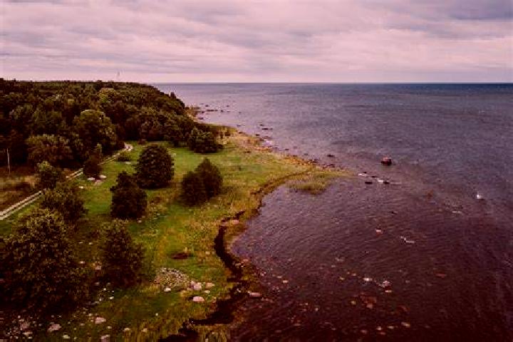 Jade, 31 — Escort in Mammaste, Estonia