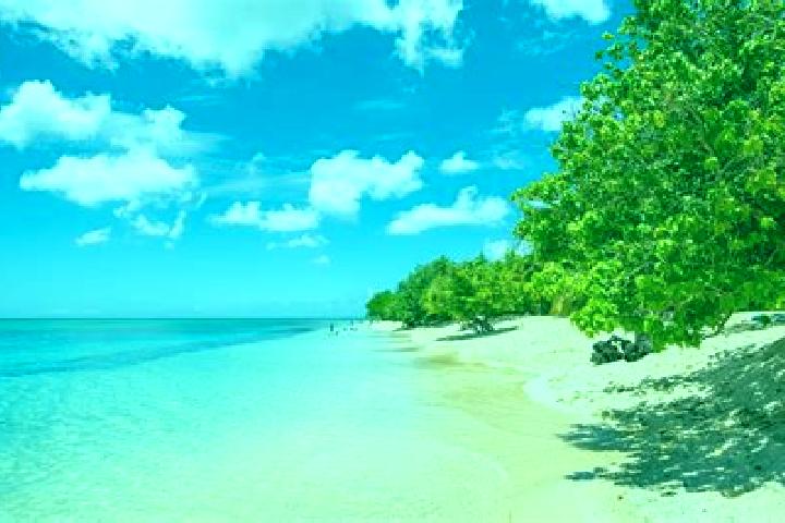 Jade, 31 — Escort in Pointe-a-Pitre, Guadeloupe
