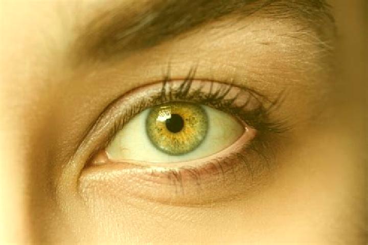 Jade, 32, a black hazel-eyed caucasian companion based in Brisenas de Matamoros. Offering Fetish, Striptease, Girlfriend Experience. Available for incall and...