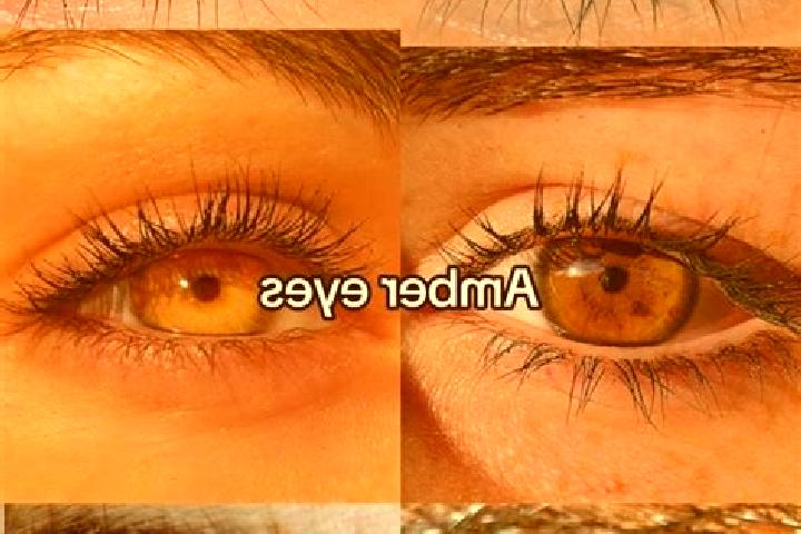 Jade, 33, a chestnut amber-eyed ebony companion based in Jawi. Offering 69, BDSM, Overnight. Available for incall and outcall, day and evening dates.