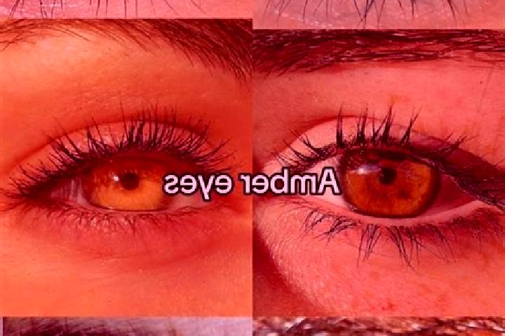 Jade, 33, a chestnut amber-eyed middle eastern companion based in Lilburn. Offering Overnight, OWO, CIM, 69. Available for incall and outcall, day and evenin...