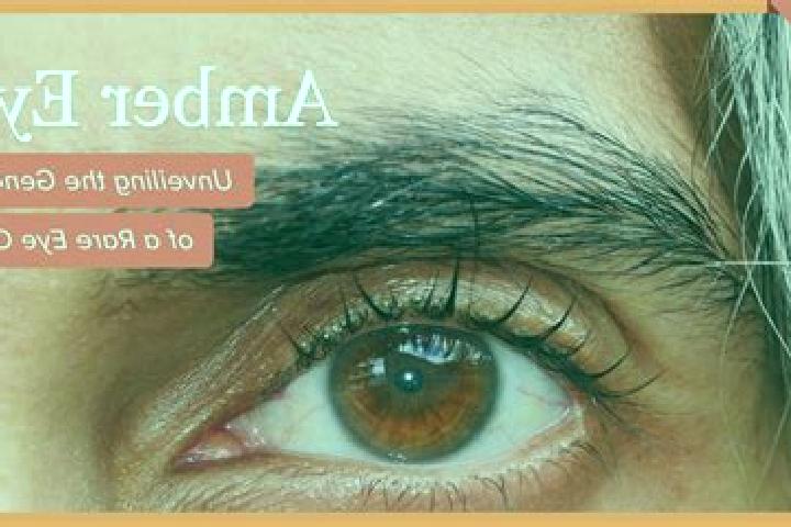 Jade, 34, a black amber-eyed mediterranean companion based in Ala di Stura. Offering Tantra, Prostate Massage, Dinner Date, Striptease. Available for incall ...