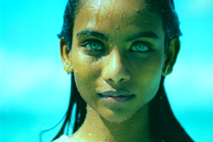 Jade, 34, a chestnut blue-eyed indian companion based in Crossmolina. Offering Domination, GFE, Couples, Massage. Available for incall and outcall, day and e...