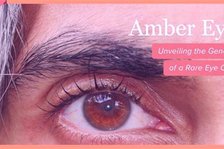Jade, 35, a red amber-eyed mixed companion based in Beringen. Offering Prostate Massage, Tantra, Party Girl. Available for incall and outcall, overnight book...