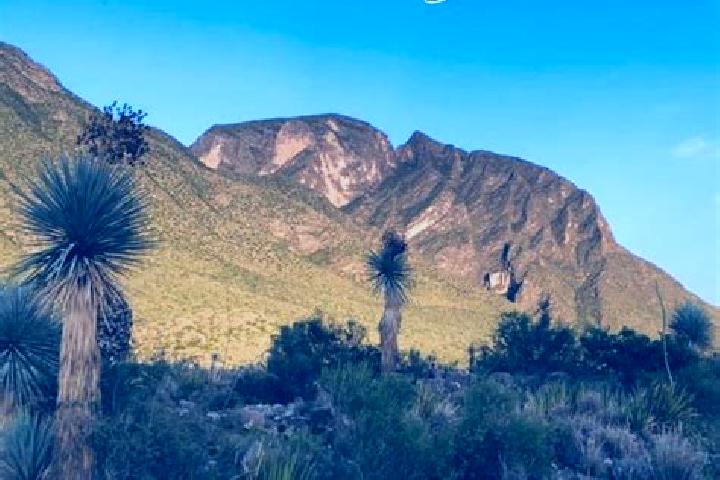 Jade, 36 — Escort in La Flor de Jimulco, Mexico