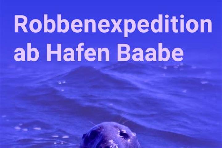 Jade, 37 — Escort in Bergen auf Ruegen, Germany