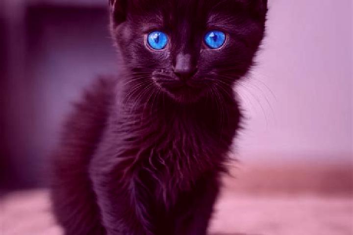 Jade, 39, a black blue-eyed caribbean companion based in Macuixcatlan. Offering Overnight, OWO, Tantra, BDSM. Available for incall and outcall, day and eveni...
