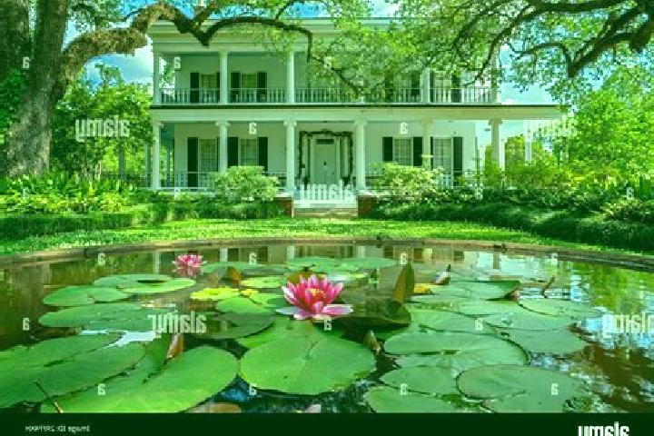 Jade, 39 — Escort in Oakleaf Plantation, United States