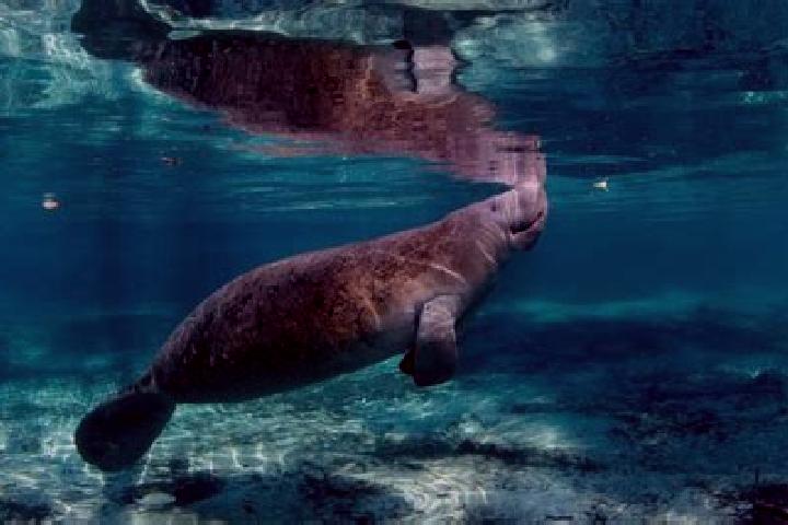 Kinsley, 21 — Escort in Peixe-Boi, Brazil
