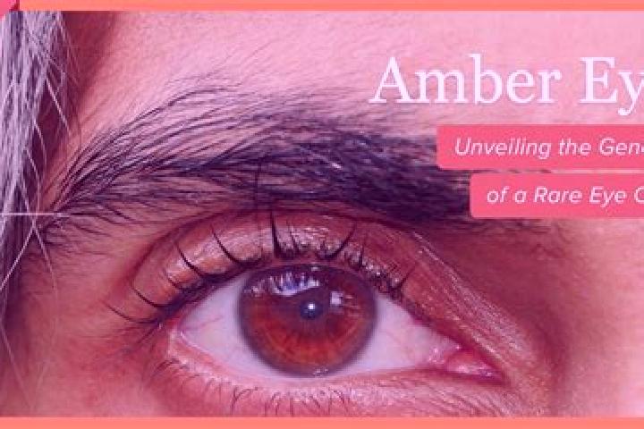 Kinsley, 22, a black amber-eyed european companion based in Ci Xian. Offering Tantra, Prostate Massage, OWO, BDSM, Massage. Available for incall and outcall,...