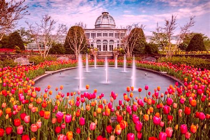 Kinsley, 22 — Escort in Cypress Gardens, United States