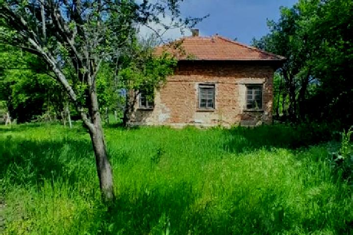 Kinsley, 22 — Escort in Polkovnik Zhelyazovo, Bulgaria