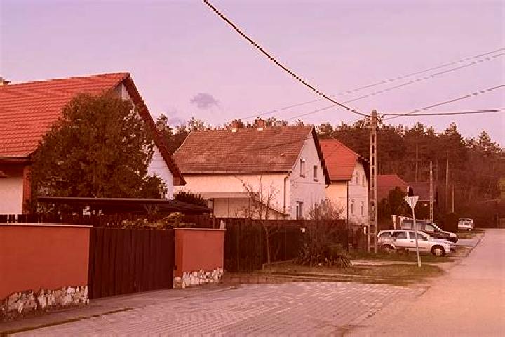 Kinsley, 22 — Escort in Rakospalota, Hungary