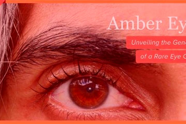 Kinsley, 24, a black amber-eyed middle eastern companion based in Huntsbury. Offering GFE, Roleplay, Erotic Massage, Girlfriend Experience. Available for inc...