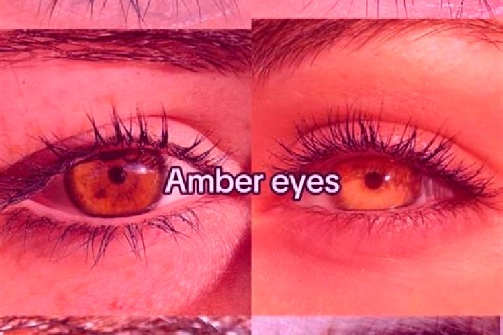 Kinsley, 24, a brunette amber-eyed middle eastern companion based in Quakenbrueck. Offering BDSM, Duos, Roleplay, GFE. Available for incall and outcall, day ...