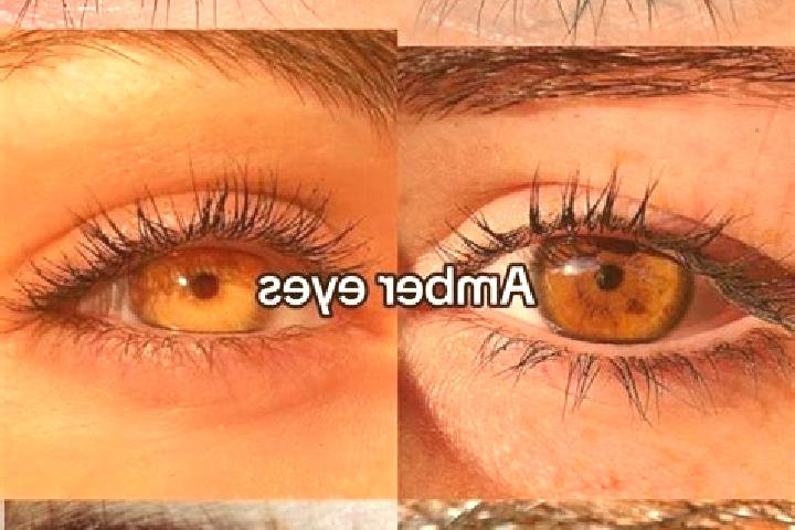 Kinsley, 24, a chestnut amber-eyed mixed companion based in Genyem. Offering Striptease, CIM, Deep French Kissing, Roleplay. Available for incall and outcall...