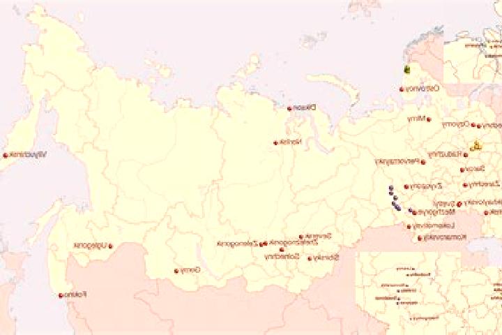 Kinsley, 24 — Escort in Antropovo, Russia