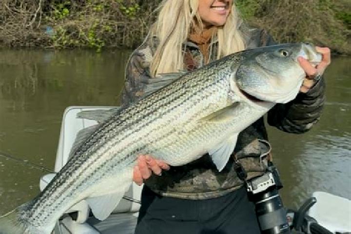 Kinsley, 24 — Escort in Knights Landing, United States